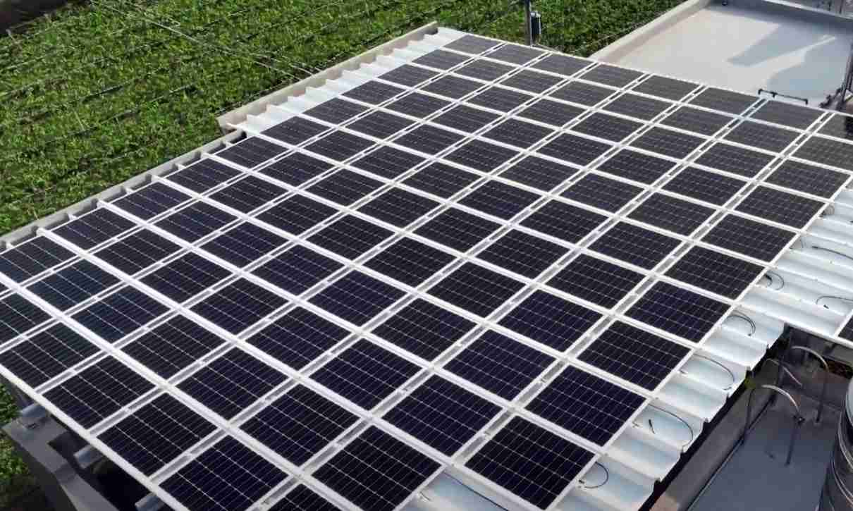 口袋牛店SunSteel光电浪板升级双玻结构，，以提升机械负载强度及气候耐候度，，，可广泛运用于多元场域